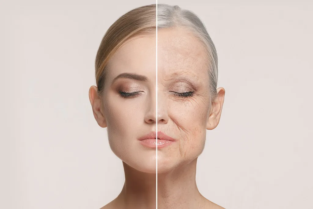 Reverse Wrinkles at Home: The Most Affordable Anti-Aging Techniques